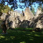 Orval Abbey - 12th Century Ruins