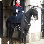 Mounted Household Cavalry (Whitehall)